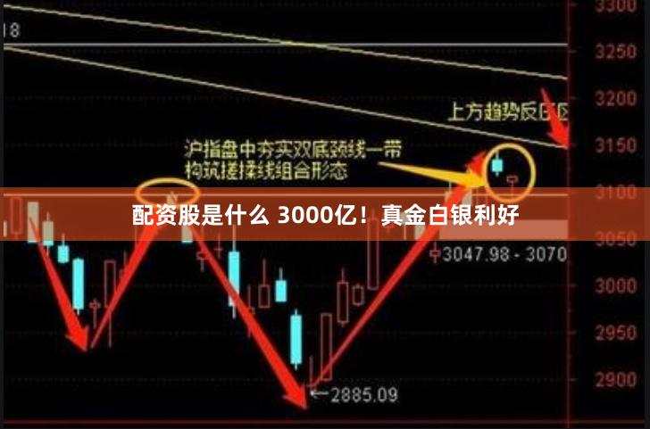 配资股是什么 3000亿！真金白银利好